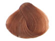 Fanola Color Crema Farba krem koloryzujący 8.03  - 2