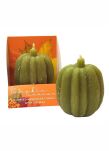 Bartek Candles Pumpkin Season Dynia Klasyczna Świeca Figurka 90 g - 4