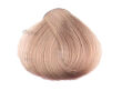 Fanola Color Crema Farba krem koloryzujący 10.1  - 2