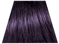 Chantal Prosalon Intensis Color Art Farba 4/2 100 - 2