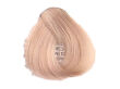 Fanola Color Crema Farba krem koloryzujący 12.2 - 2