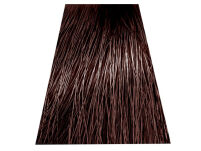Chantal Prosalon Intensis ColorArt Farba 4/035 100 - 2