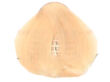 Fanola Color Crema Farba krem koloryzujący 10.3 - 2