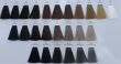 CHANTAL PROSALON INTENSIS FARBA COLOR ART 100 g - 2