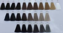 CHANTAL PROSALON INTENSIS FARBA COLOR ART 100 g - 2