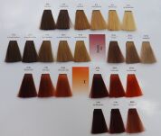 CHANTAL PROSALON INTENSIS FARBA COLOR ART 100 g - 5