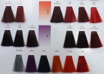 CHANTAL PROSALON INTENSIS FARBA COLOR ART 100 g - 6