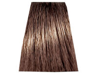 Chantal Prosalon Intensis Color Art Farba 6/03 100 - 2