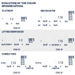 Alfaparf Evolution of the color farba do włosów EOC 11.32 60 ml - 6