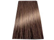 Chantal Prosalon Intensis Color Art Farba 6/0 100 - 2