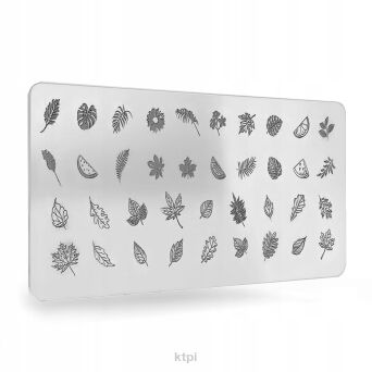 Clavier Blaszka Do Stempli 03/Y113