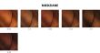Loreal Dia Color farba do włosów koloryzacja ton w ton 60 ml 7.8 - 9