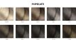 Loreal Dia Color farba do włosów koloryzacja ton w ton 60 ml 7.8 - 12