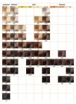 Chantal Prosalon Color Art Farba x12 sztuk + Woda - 3
