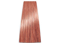 Chantal Prosalon Intensis Color Art Farba 8/46 100 - 2