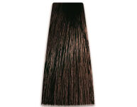 Chantal Prosalon Intensis Color Art Farba 5/00 100 - 2