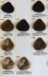 Black Sintesis Color Cream Farba Bez Amoniaku 100 kolor 6.0 - 3