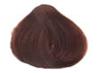 Fanola Color Crema Farba krem koloryzujący 6.3 100 - 2