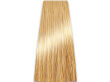 Chantal Prosalon Intensis Color Art Farba 9/33 100 - 2