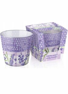 Bartek Candles Lovely Lavender Świeca Zapachowa w Szkle 115 g