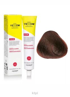 Yellow Professional Alfaparf  Color Permanent farba do włosów KOLOR 6.45 100 ml
