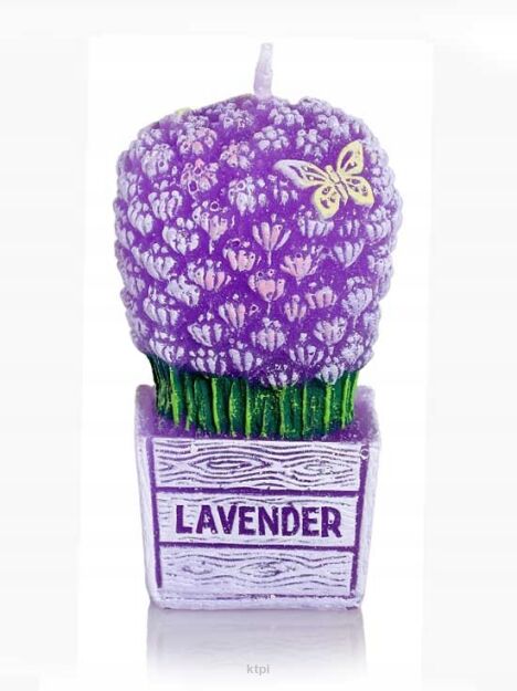 Bartek Candles Lavender Boutique Świeca Zapachowa Motyl 58 g