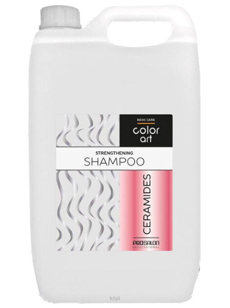 Prosalon ColorArt Szampon wzmacniający ceramidy 5L