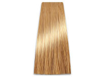 Chantal Prosalon Intensis Color Art Farba 8/33 100 - 2