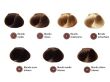 Alfaparf Precious Nature Hair Color Farba 60 ml - 3