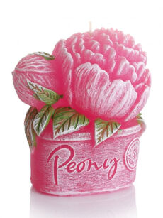 Bartek Candles Świeczka Peony ciemny róż 80 g