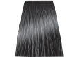 Chantal Prosalon Intensis Color Art Farba 6/11 100 - 2
