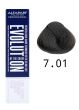 Alfaparf Evolution of the color farba do włosów EOC 7.01 60 ml - 2