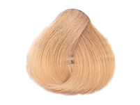 Alfaparf Evolution Of The Color Farba EOC 9.13 60 ml - 2