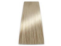 Chantal Prosalon Intensis Color Art Farba 10/13 - 2