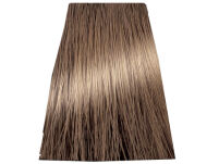Chantal Prosalon Intensis Color Art Farba 7/0 100 - 2