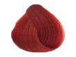 Fanola Color Crema Farba krem koloryzujący 7.6 100 - 2