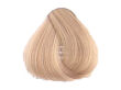 Fanola Color Crema Farba krem koloryzujący 12.13 - 2