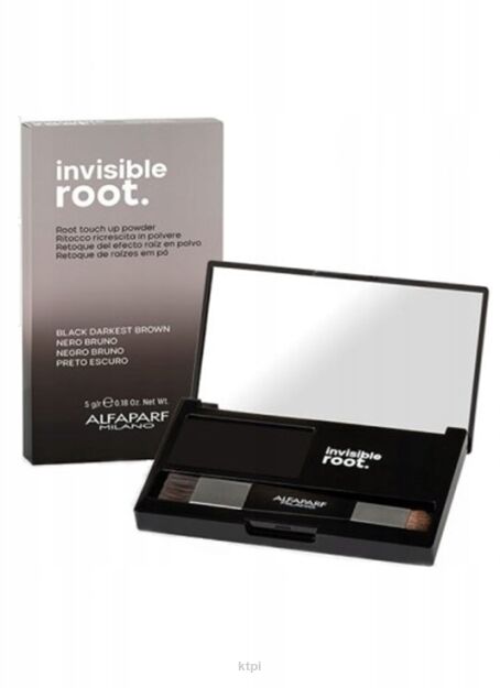Alfaparf Korektor Invisible Root Touch Up Black 5g