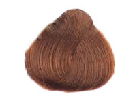 Alfaparf Evolution Of The Color Farba 7.3 60 ml - 2