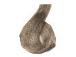 Ce-Ce Color Creme Farba do włosów 9,27 125 ml - 2