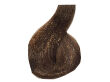Ce-Ce Color Creme Farba do włosów 6,34 125 ml - 2