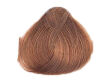 Alfaparf Evolution Of The Color Farba EOC 7.32 60 ml - 2